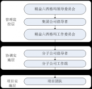 精益六西格瑪實(shí)施組織架構(gòu)和職能職責(zé)