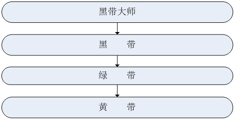 精益六西格瑪實施組織架構(gòu)和職能職責(zé)