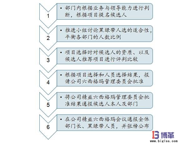 六西格瑪黑帶、綠帶人員的選擇